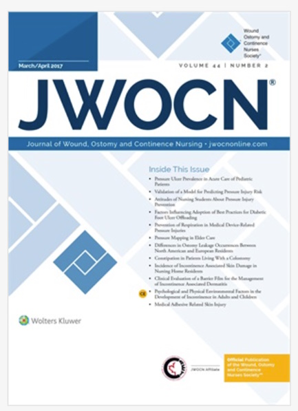 Pressure Mapping in Elderly Care: A Tool to Increase Pressure Injury Knowledge and Awareness Among Staff