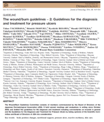 The wound/burn guidelines – 2: Guidelines for the diagnosis and treatment for pressure ulcers